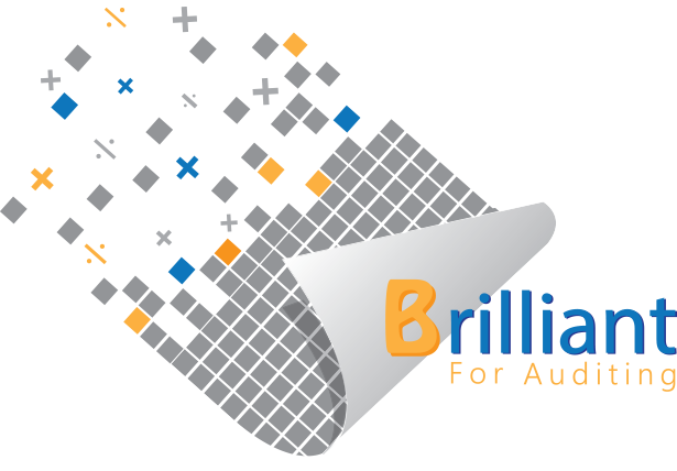 www.brilliant-auditing.com